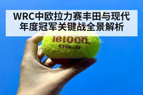 WRC中欧拉力赛丰田与现代年度冠军关键战全景解析